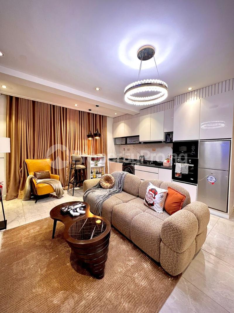 1 bedroom Flat / Apartment for shortlet Ikate Lekki Phase 1 Lekki Lagos