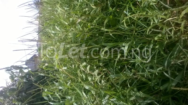 Land for sale White Sand Ijegun Ikotun/Igando Lagos