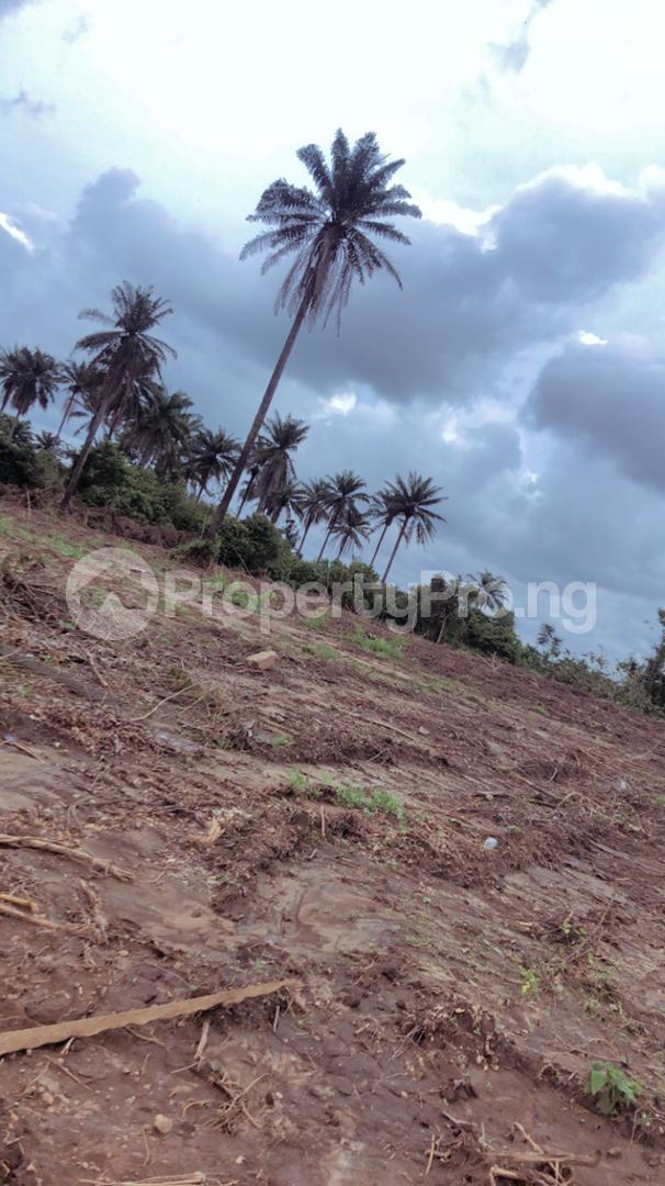 Land in Akala Express Ibadan Oyo Land for sale in ibadan Land in