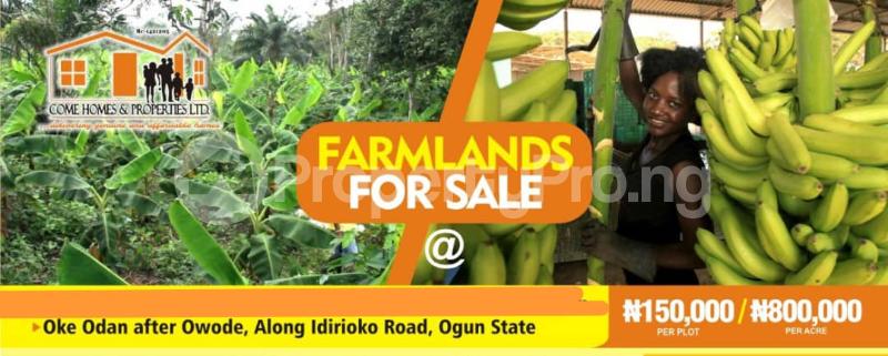 Land for sale Diamond Estate Farm Land In Oke Odan After Owode Along Idirioko Road Ogun State Obafemi Owode Ogun