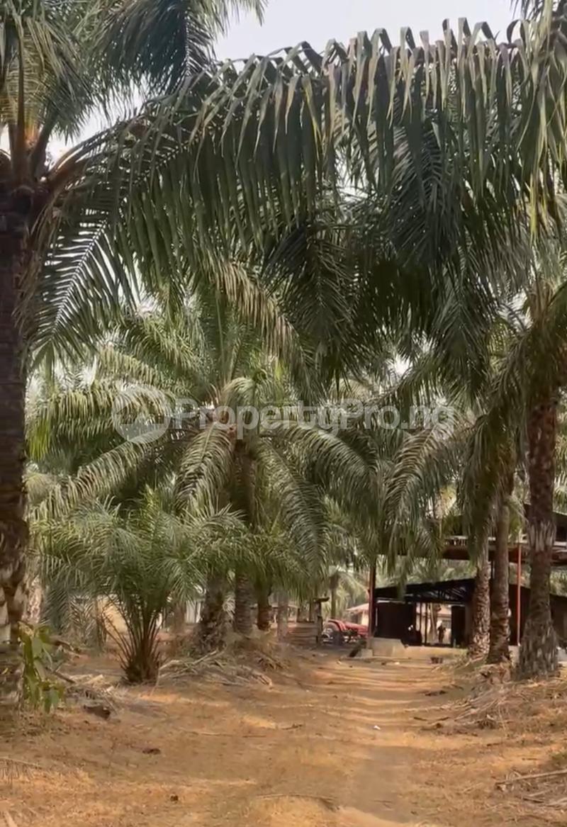 Commercial Property for sale Palmrich Phase 5 Iwo Rd Ibadan Oyo