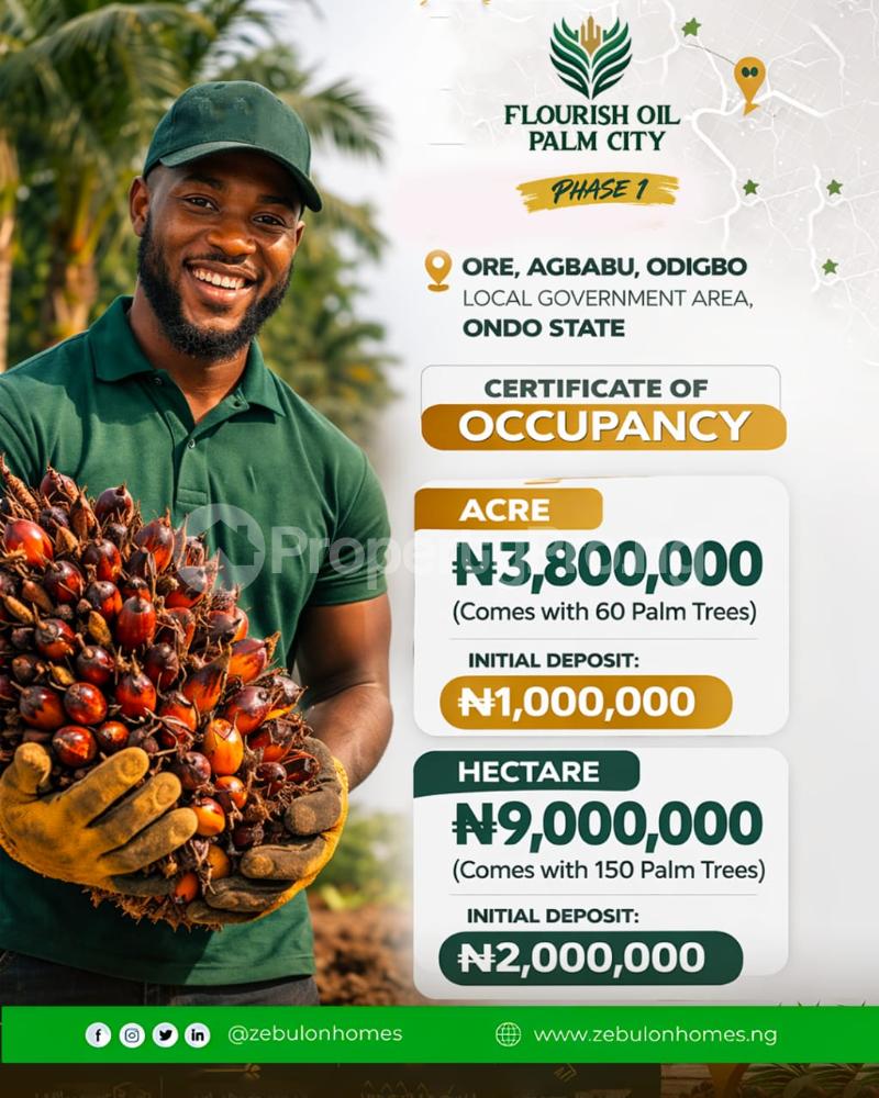 Land for sale Flourish Oil Palm City Phase 1 Located At Ore Agbabu Odigbo Ondo