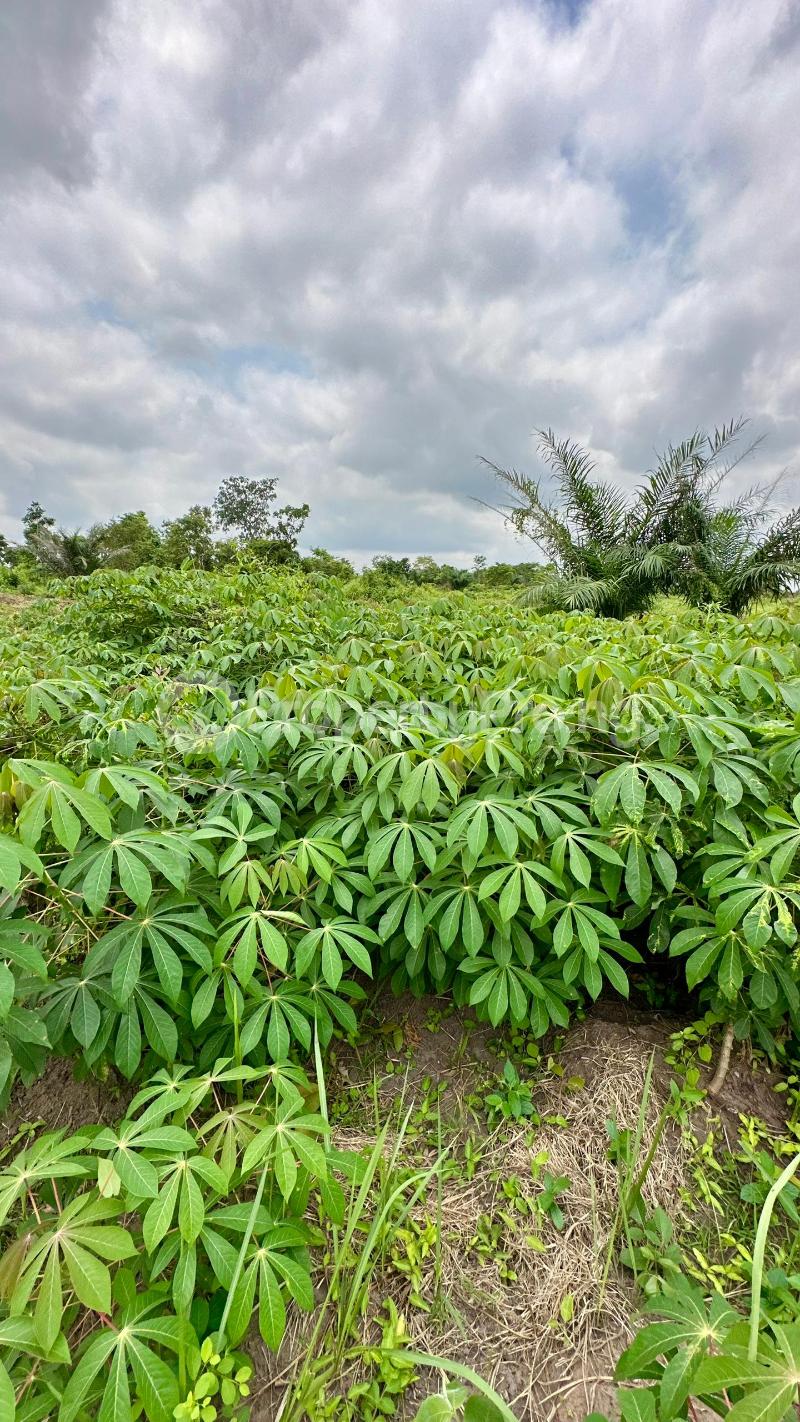 Land for sale Off Funaab Alabata Abeokuta Ogun - 0