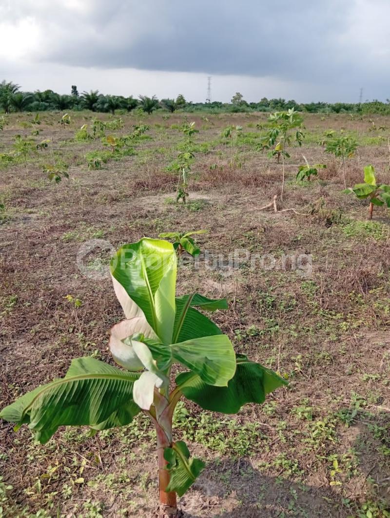 land for sale eyinwa alekunifesowapo odogbolu ogun-guide