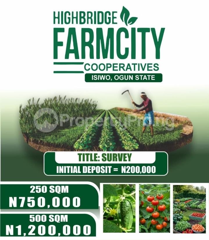 Land for sale Isiwo Ijebu Ode Ogun - 1