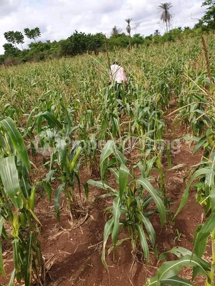 Land in Epe Lagos Land for sale in epe Land in epe PropertyPro Nigeria