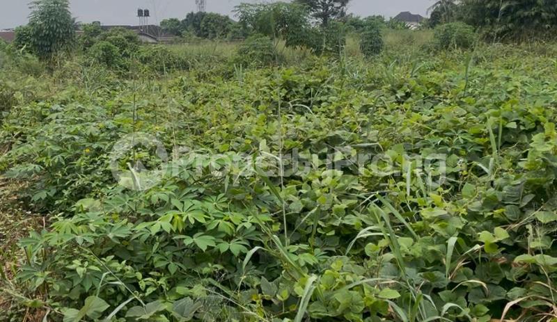 Land for sale Igwurta-Ali Port Harcourt Rivers