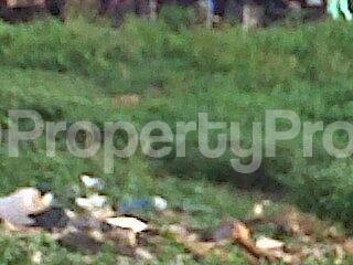 Land for sale Idimu Ejigbo Ejigbo Lagos - 0