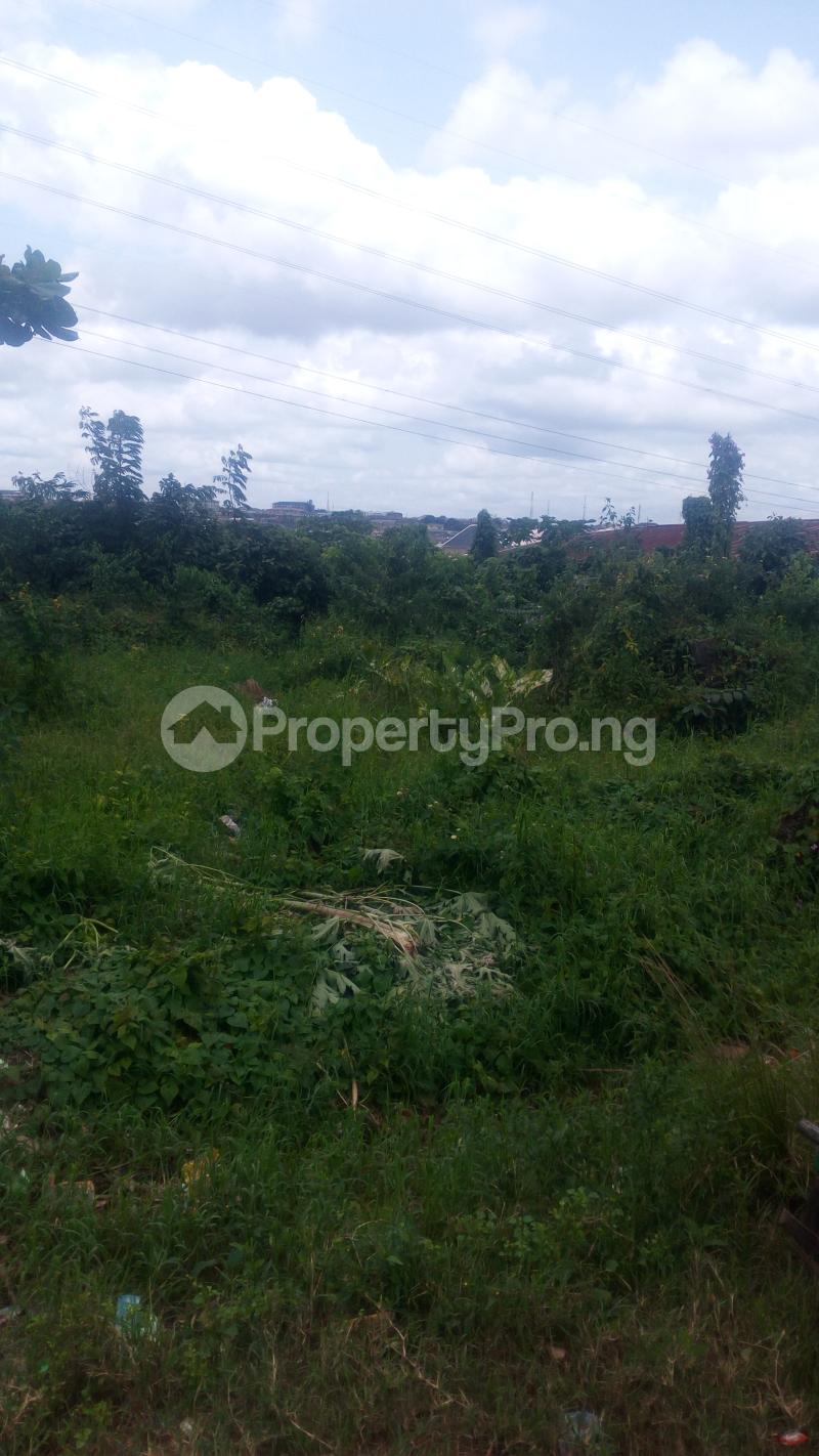 Land for sale Idimu Ejigbo Estate. Lagos Mainland Ejigbo Ejigbo Lagos - 0