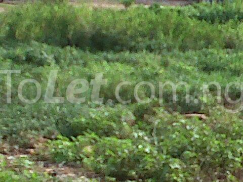 Land for sale Ajao Estate. Lagos Mainland Ajao Estate Isolo Lagos