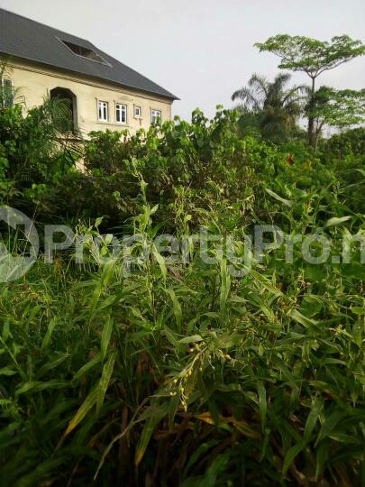 Land for sale Idimu Ejigbo Ejigbo Lagos - 0