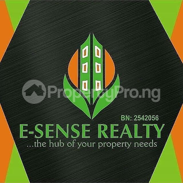 Land for sale Along The Gbagada Oshodi Expressway, Gbagada Millenuim/UPS Gbagada Lagos - 0