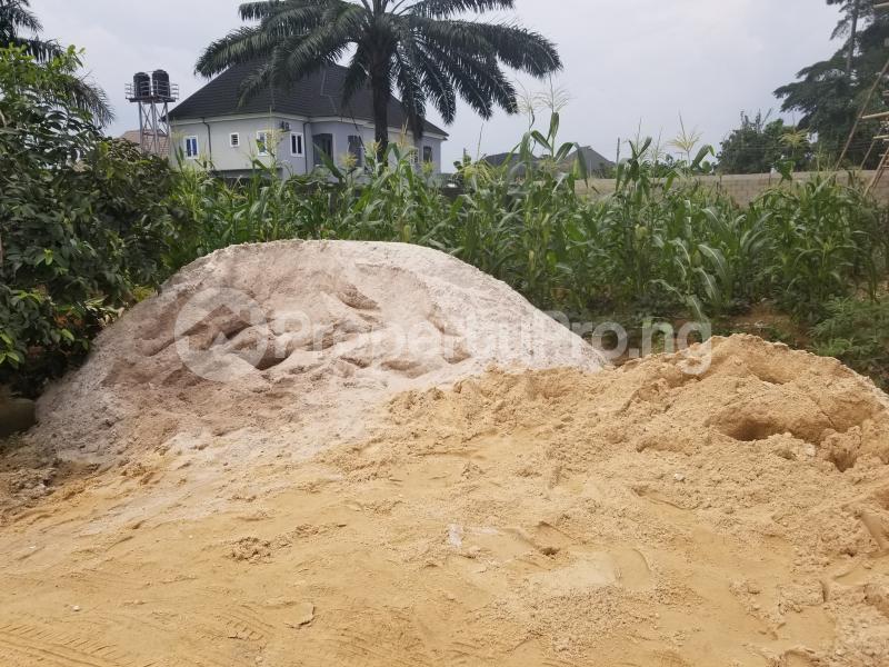 Land for sale Off Eneka Eliozu Link Road Eneka Port Harcourt Rivers - 0