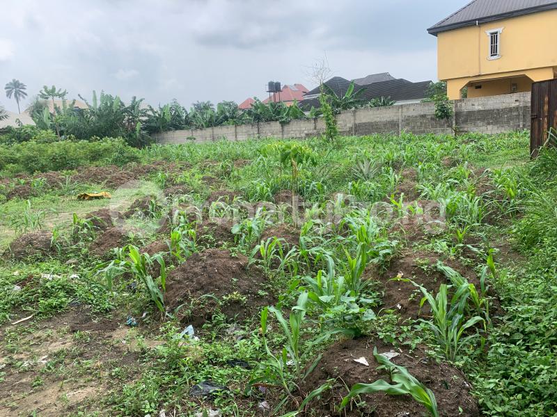 Land for sale Off Port International Airport Road Rupkpokwu Port Harcourt Rivers - 3