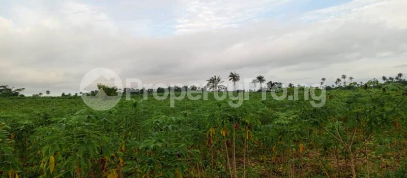 Land for sale Green Wealth City Farm Ijebu Ode Ogun