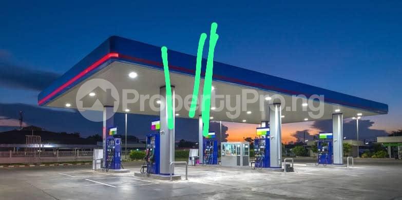 Commercial Property for sale Along Lekki Expressway Lekki Lagos