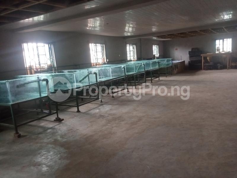 Commercial Property for sale Afolabi Lasu Igando Ikotun/Igando Lagos - 1