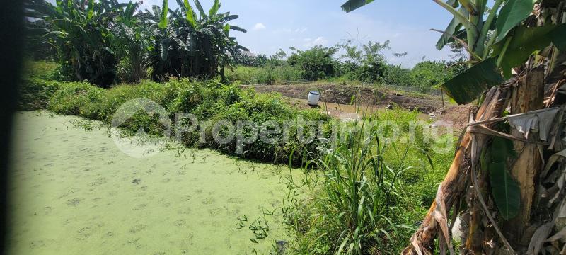 Commercial Property for sale Omi Adio Apata Ibadan Oyo