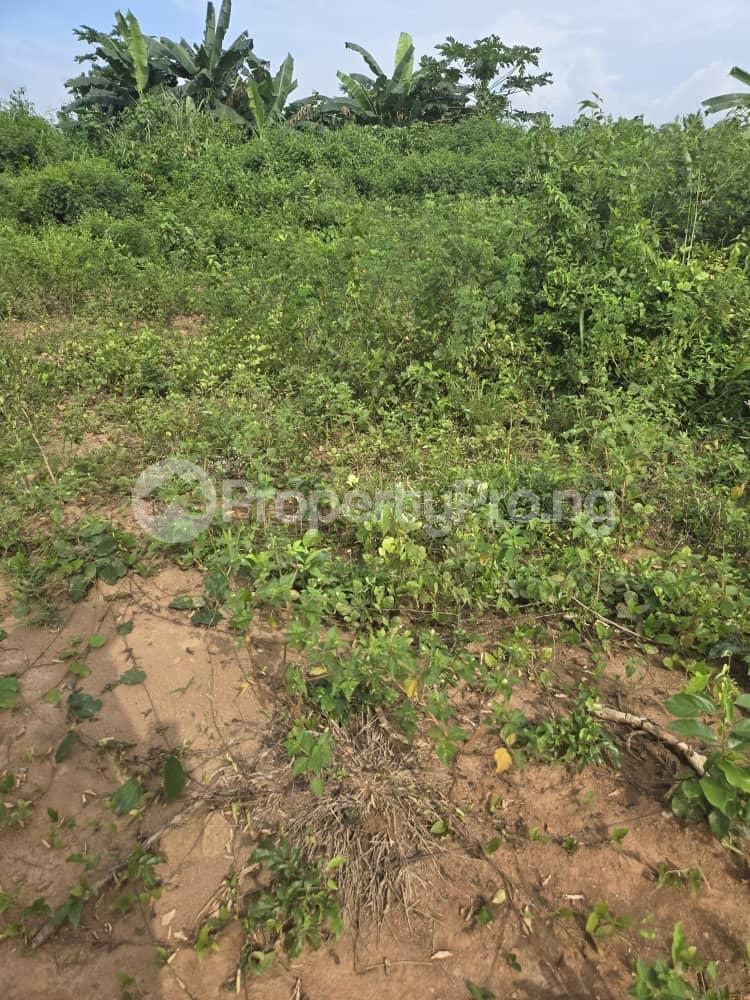 Land for sale Osengere Ife Road Ibadan Egbeda Oyo
