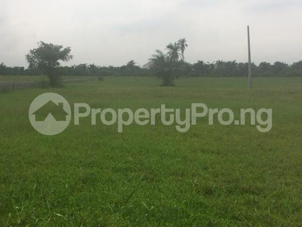 Land for sale Ologolo Ologolo Lekki Lagos
