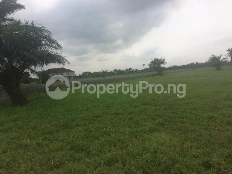 Land for sale Orchid Road Lekki Phase 1 Lekki Lagos - 0