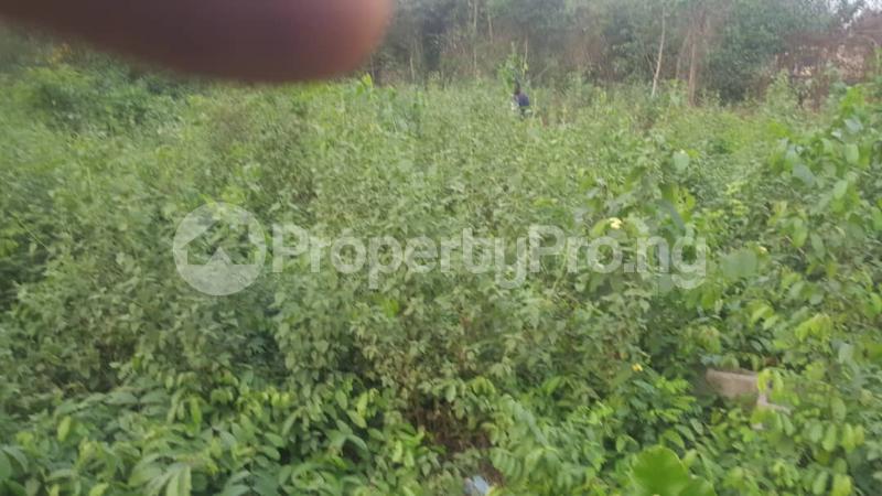 Land for sale Fakale Odongunyan Ikorodu Lagos