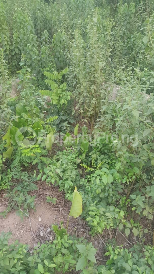 Land for sale Ikate Lagos Ikate Lekki Lagos