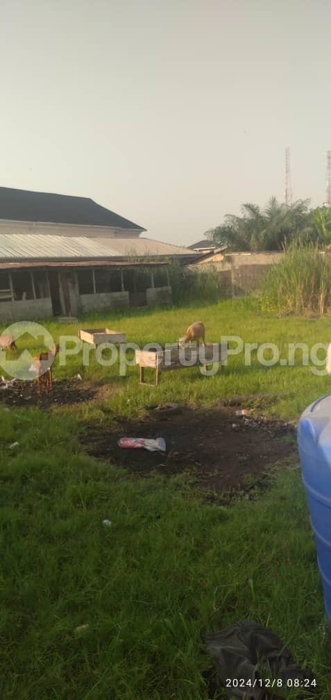 Land for sale Omotayo Street Ogudu-Orike Ogudu Lagos