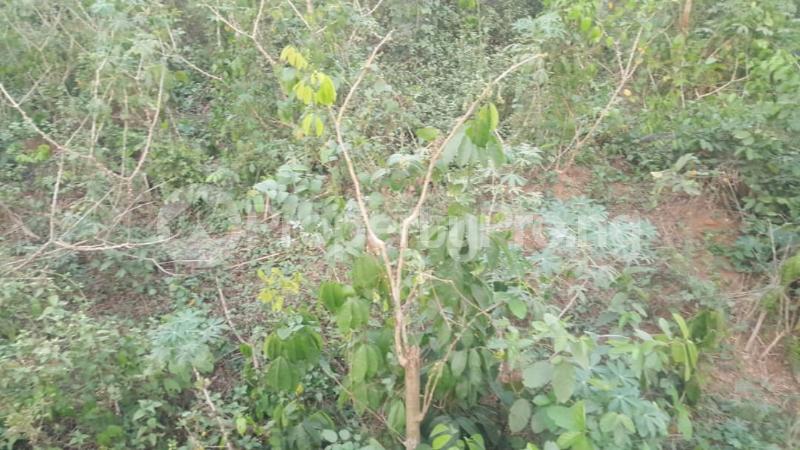 Land for sale Aina Street Ojodu Lagos Berger Ojodu Lagos