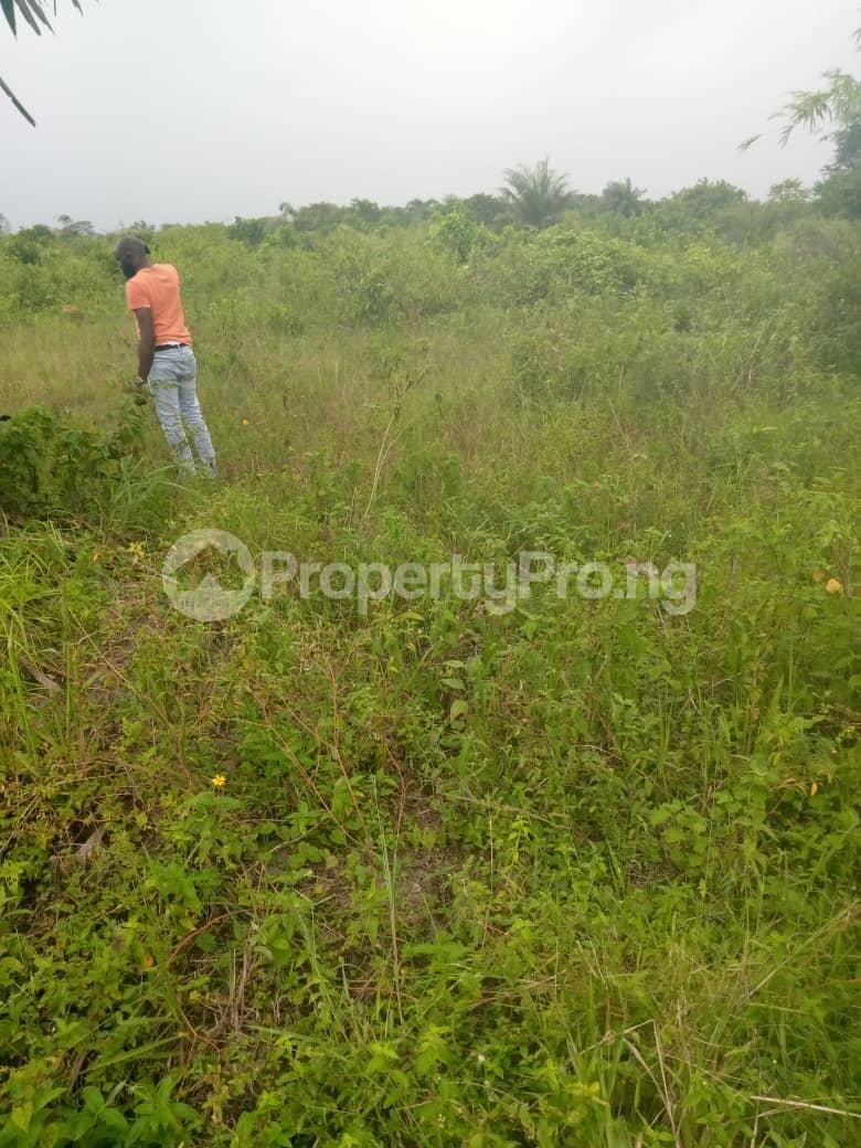 Land for sale Royal Court Estate Epe Road Epe Lagos