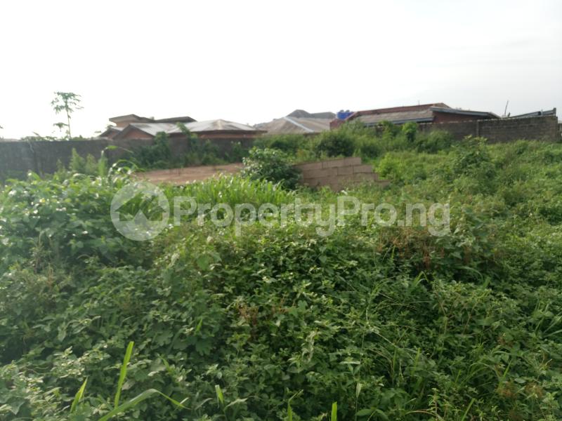 Land for sale Amule Ipaja Ipaja road Ipaja Lagos