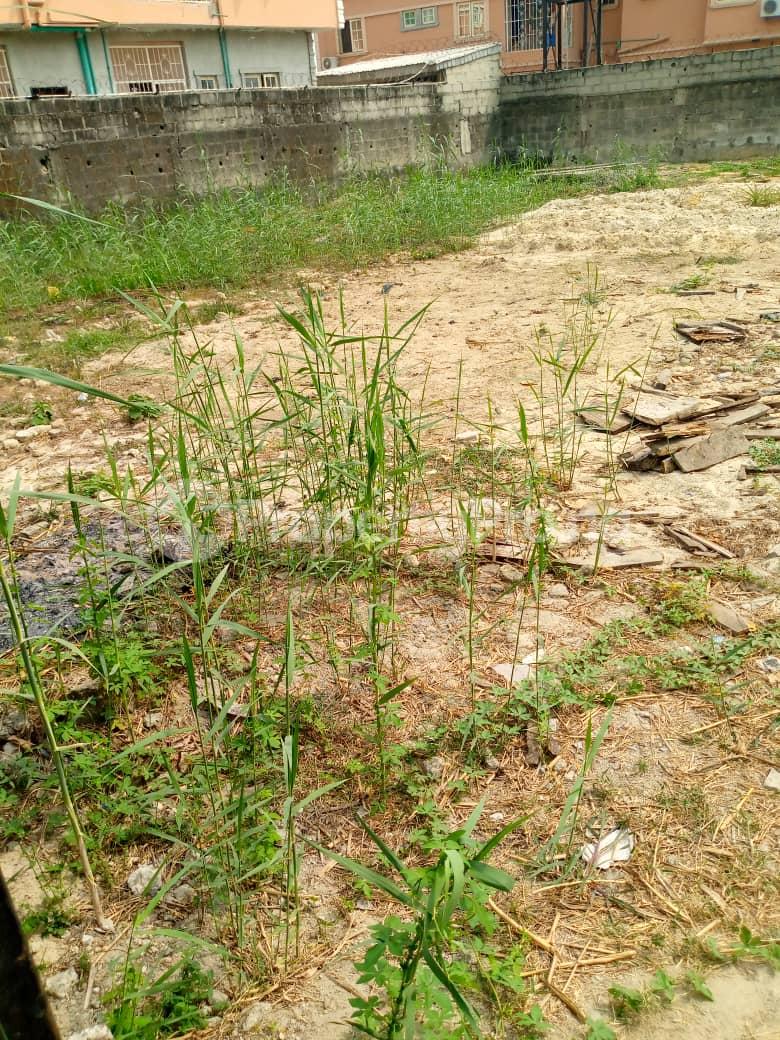 Land for sale A Close Off Badore Road Badore Ajah Lagos