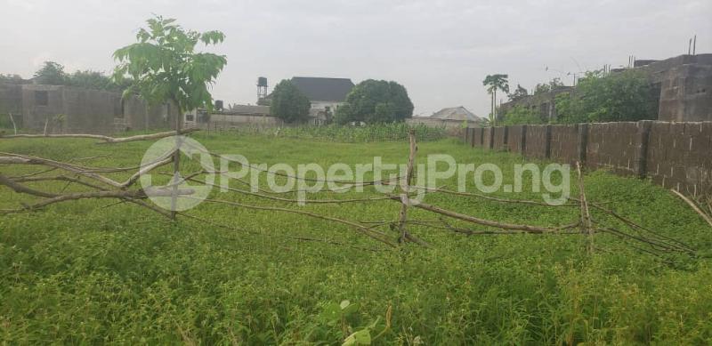 Land for sale Igbogbo Ikorodu Lagos - 0