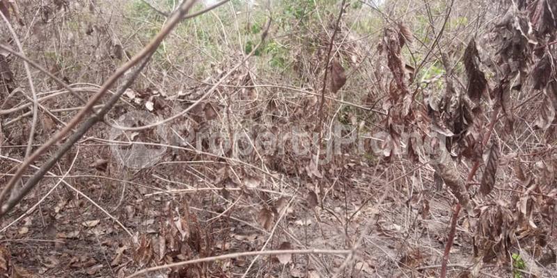 Land for sale Amuloko, Area Omi Adio Ibadan Oyo