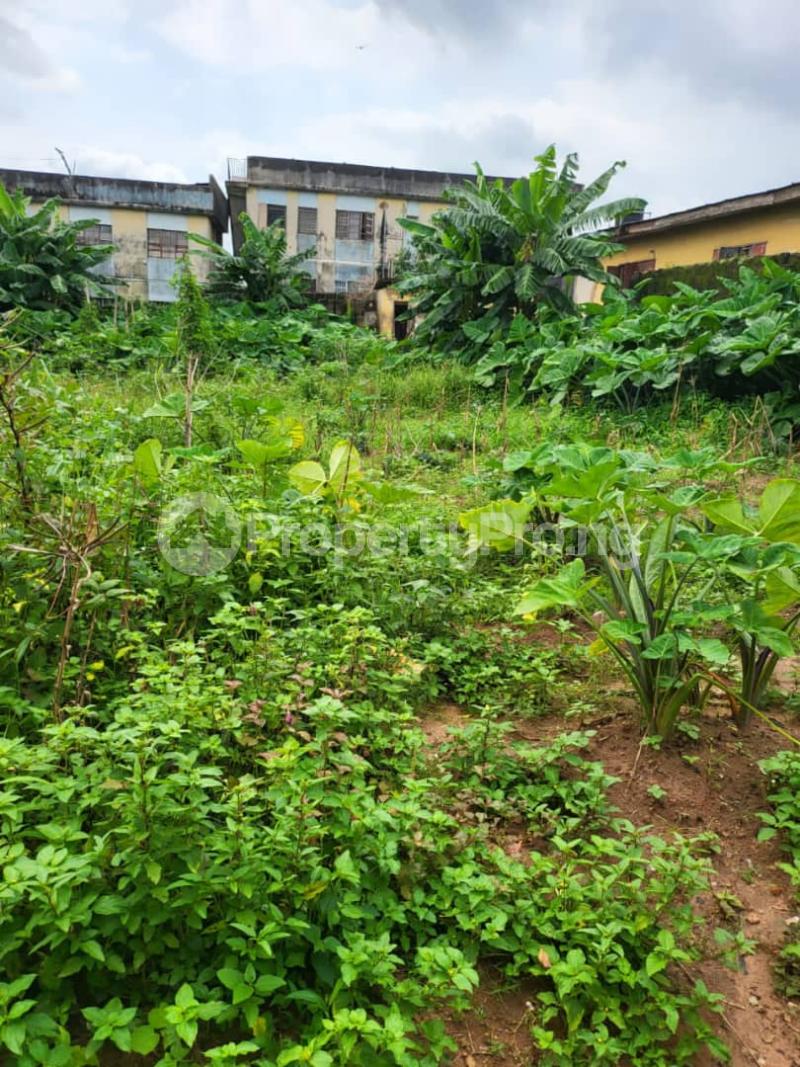 Land in Ifakoogba Ogba Lagos Land for sale in ogba Land in ogba