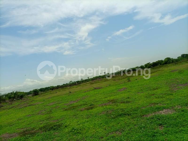 Land for sale Kola Alagbado Alimosho Lagos