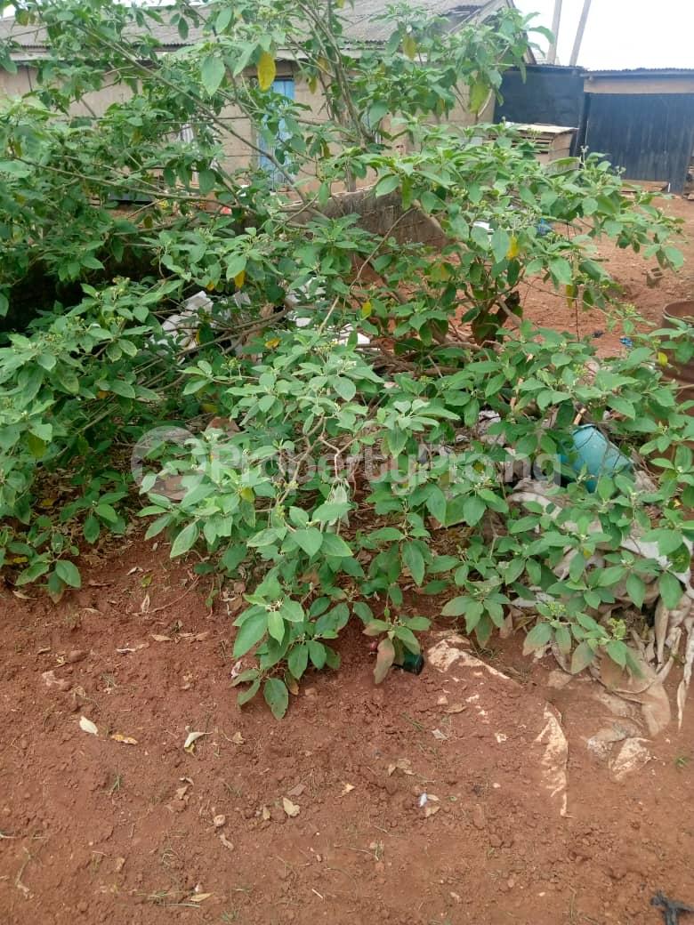 Land for sale Amule Ayobo Ipaja Lagos