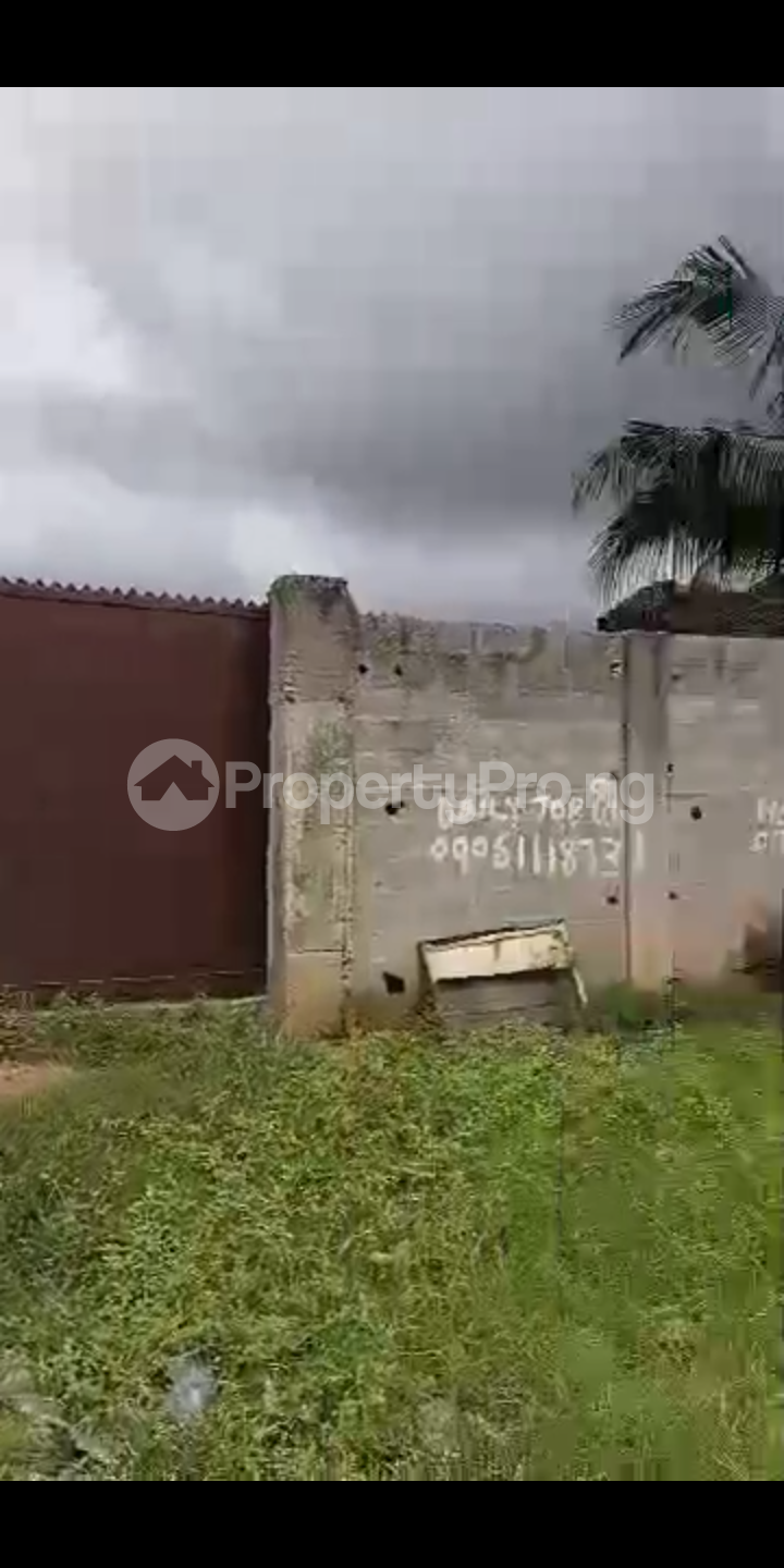 Land for sale On Alhaji Ede Facing Expressway Igando Road Igando Ikotun/Igando Lagos - 0