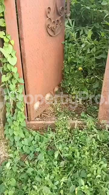 Land for sale Ait Lagos Alagbado Abule Egba Lagos - 0
