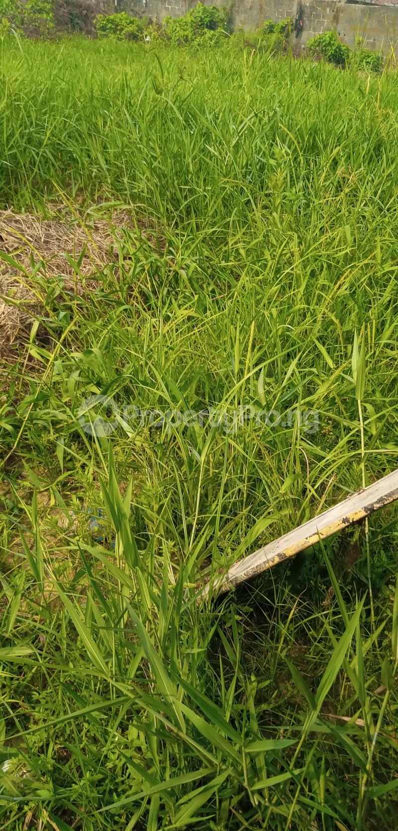 Land for sale Badore Ajah Lagos - 1