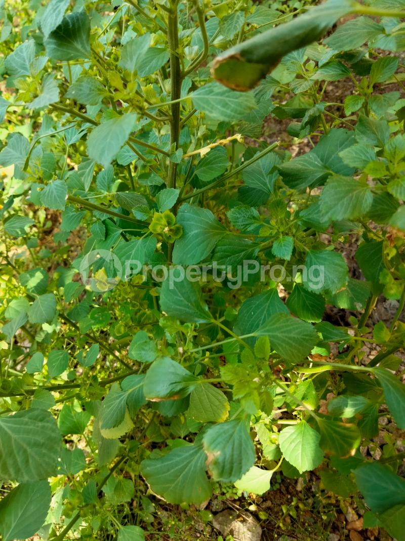 Land for sale Opic Gra Isheri North Ojodu Lagos