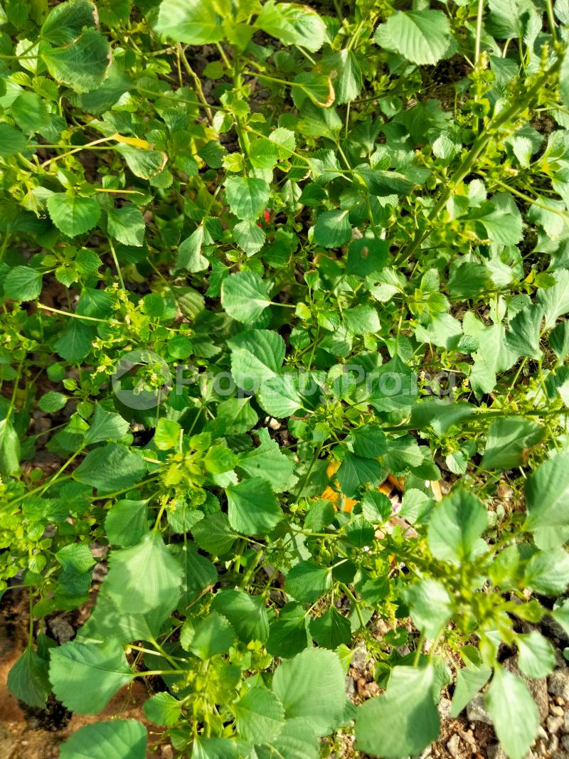 Land for sale Opic Gra Isheri North Ojodu Lagos