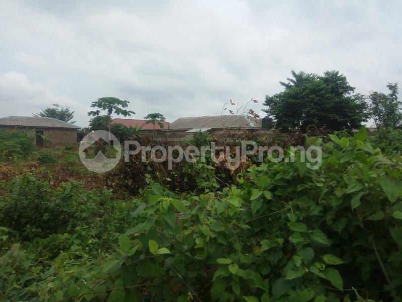 Land for sale Aiyetoro After Ayobo Ipaja Lagos - 0