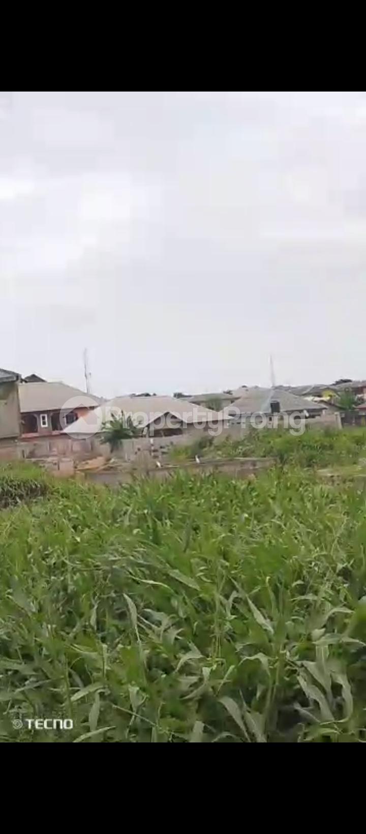 Land for sale Igando Igando Ikotun/Igando Lagos - 0