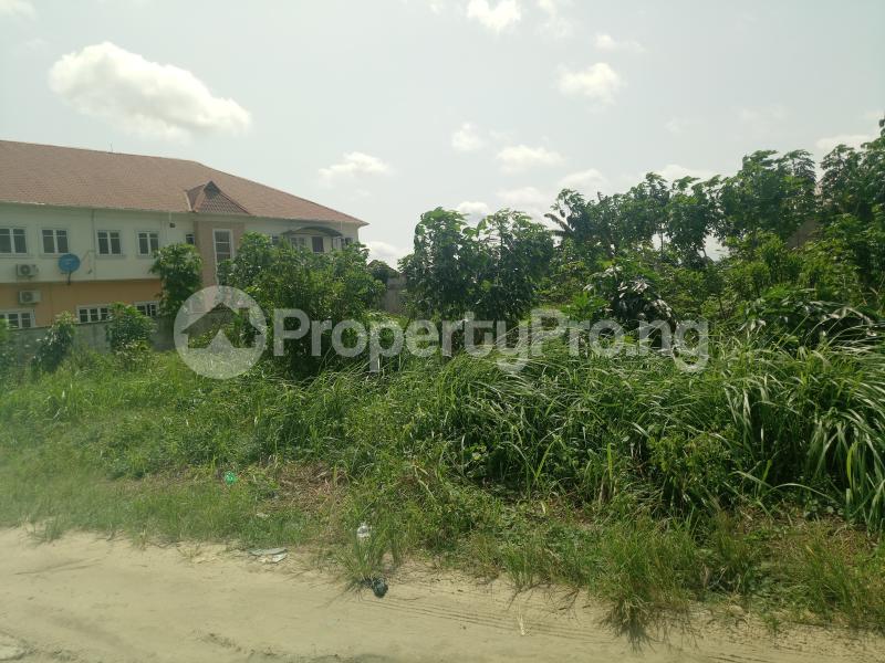 Land for sale Lasu Igando Ikotun/Igando Lagos - 0