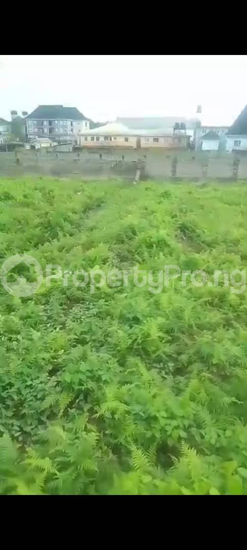 Land for sale Ago Roundabout Amuwo Odofin Amuwo Odofin Lagos