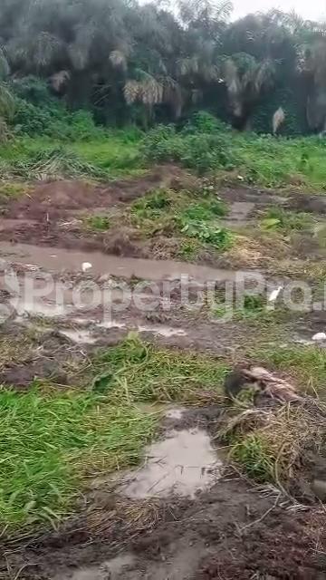 Land for sale Isawo Agric Ikorodu Lagos