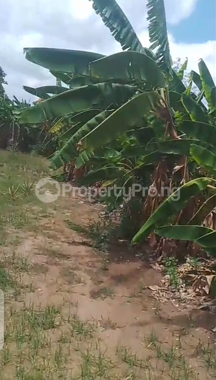 Land for sale Bucknor Isolo Lagos