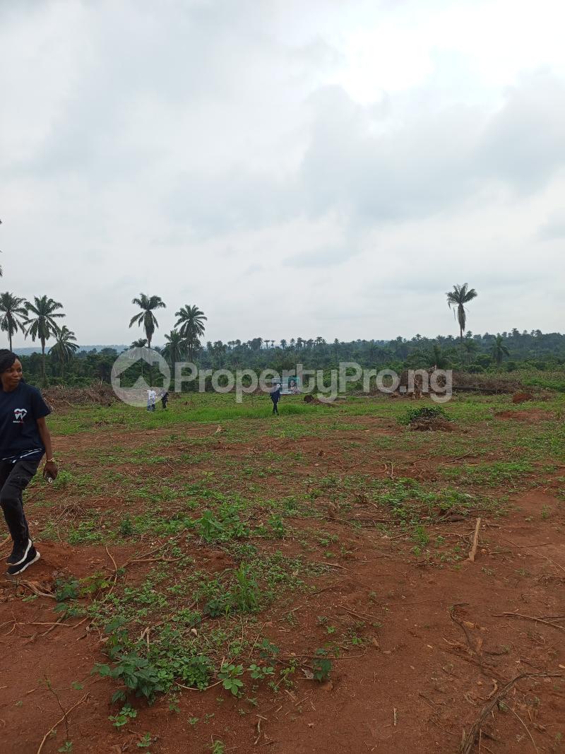 Land for sale Very Close To Ogun State Airport Ikenne Ogun