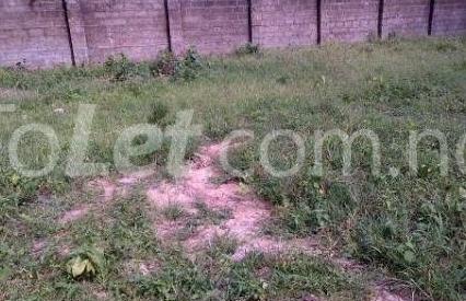 Land for sale Olutoye Street Agric Ikorodu Lagos - 0